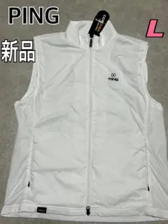 Item thumbnail for item 85c20eb4-e6bb-4252-8205-3ffe40f3a6c9