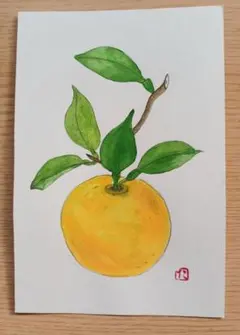 メル60589様 リクエスト 2点 まとめ商品