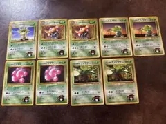 エリカの~ ポケモンジム第2弾 タマムシシティジム エリカ詰め合わせのサムネイル