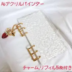 アクリルバインダー　saving　A6 リフィル　家計簿　推し活　トレカ収納