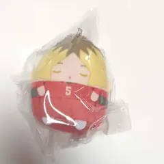 新品 ハイキュー くじメイト ぬいくじ E賞てのりんずコレクション 孤爪研磨