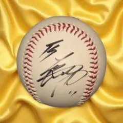 大谷翔平選手 直筆サインボール＋直筆サイン色紙 2点セット
