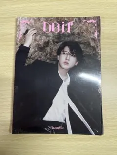 StrayKids Do It チャンビン　CD
