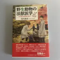 Item thumbnail for item b84debe7-85ab-4f86-a34d-5daab15f2bd2