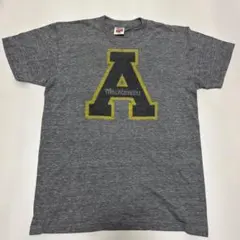 HOMAGE Mountaineers Tシャツ グレー