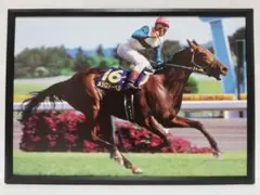 Item thumbnail for item 086a6aec-2db4-4f09-91e4-543b32398143