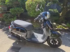美車YAMAHAビーノヤマハ 原付バイク おしゃれ黒Honda ジョルノホンダ 