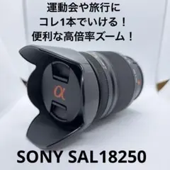 SONY DT 18-250mm F3.5-6.3 SAL18250 高倍率のサムネイル