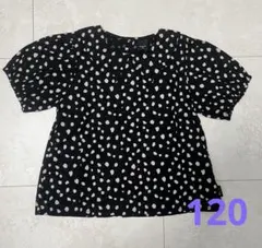 マニーナ　ブラウス　120 ダルメシアン　バースデイテータテートマーキーズ すき