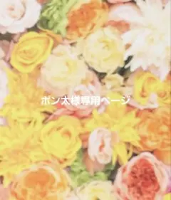 ポン太様専用ページ