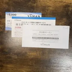 ZARD 記念品 半券 2004年 東京国際フォーラム 使用済みチケット ZARD使用済みチケット 東京フォーラム - メルカリ
