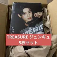 treasure LOVE PULSEアルバム（ジュンギュ） 5枚セット