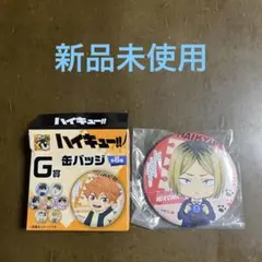 ハイキュー　1番くじG賞缶バッチ