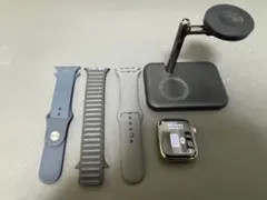 Apple Watch9 45mm本体 セルラー ステンレス +おまけ多数