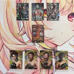 Item thumbnail for item 8a6b7b4a-e1aa-49f3-974f-a4c23be534cc