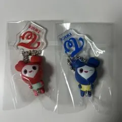 TWICELOVELYキーホルダー【バラ売り可】 CHAEYOUNG TZUYU