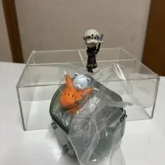 2025年最新】ワンピの実 ローの人気アイテム - メルカリ