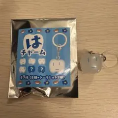 Ado はちゃん　はチャーム　限定　ノーマル　レア　アド　グッズ　キーホルダー