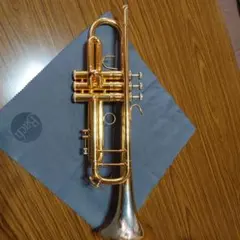 Item thumbnail for item f3ee0170-b6b1-490f-bb5e-ca492ca15687