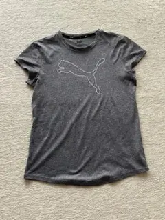 PUMA グレー Tシャツ 半袖