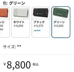 CASTELBAJAC キーケース 　グリーン 4連 ファスナー付のサムネイル
