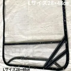 Item thumbnail for item 94b08b49-bece-4945-8246-a69c35e0705e