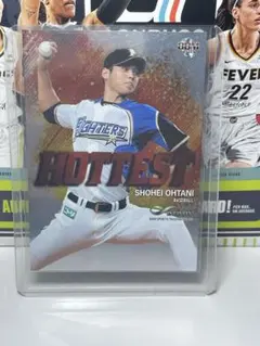 【貴重！】大谷翔平 ファイターズ時代 ハイライトフォト 優勝の瞬間！2016年 超希少】 大谷翔平 ハイライトフォト 2016年 リーグ優勝 集合写真 投手