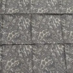ペイズリー柄 プリント生地
