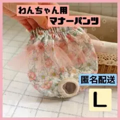 Item thumbnail for item afd17375-84d8-4801-af10-0ea8d3a97978