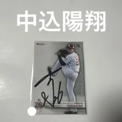 Item thumbnail for item 295d2aed-5e8d-4ae4-ad84-4e877a9a710c