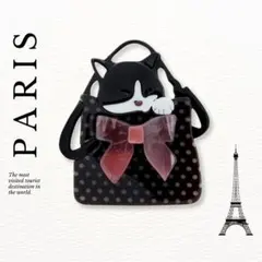 【ラスト１点！】Paris broach アクリル ブローチ バッグの中のねこ