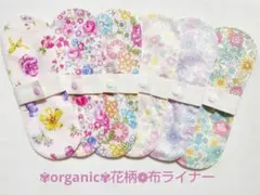 Item thumbnail for item dc5390d1-149f-45be-990d-bea716bf7645