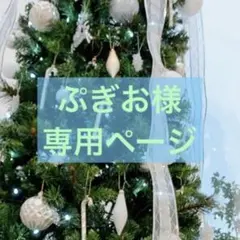 羊毛フェルト　ぷぎお様専用ページ