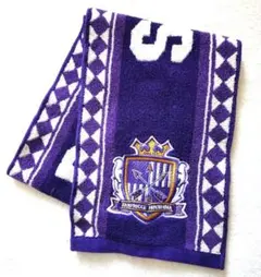 Item thumbnail for item 85307e10-c4dc-4503-88c4-6f2bc2ca1e2c