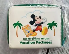 ディズニー バケーションパッケージ チケットホルダー 未開封