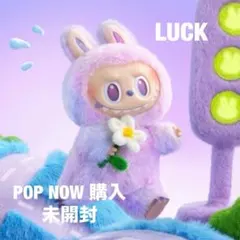 ラブブ THE MONSTERS エナジー LUCK 未開封