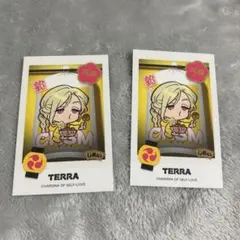 カリスマ　テラ　リトルカリスマ　チェキ風カード