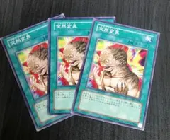 遊戯王　突然変異　3枚セット
