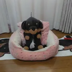 Item thumbnail for item 97c31964-cd6e-4dc9-b357-297afd3c1416