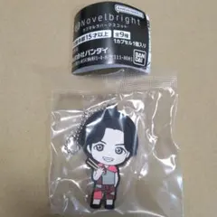 白*様 Novelbright 缶バッジ　サイン入りピック　ノーベルブライト 2025年最新】ノーベルブライト サインの人気アイテム - メルカリ