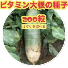 香様 リクエスト 2点 まとめ商品