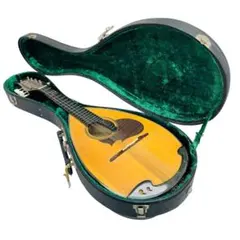 Suzuki Violin Co. マンドリン No.230 1972年製 - メルカリ