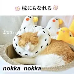 Item thumbnail for item 9cd5dc2a-8ae9-4d96-8cfc-379f46db4c0a