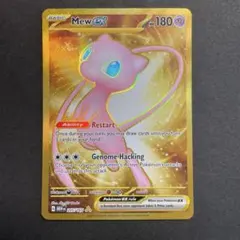 2025年最新】ミュウ ur 英語の人気アイテム - メルカリ