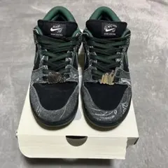 ゼアスケートボード × ナイキ SB ダンク ロー プロ