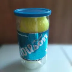 Item thumbnail for item a0da14db-e34c-4dd2-b012-813826c52e38