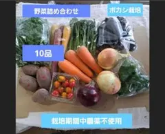 ボカシ栽培の栽培期間中農薬不使用野菜詰め合わせ10品のサムネイル