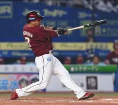 NPB支給品 源田壮亮選手 ゼットプロステイタス硬式木製バット WBC侍