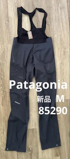 Patagonia GORE-TEX Pro スーパーアルパイン ビブパンツ - メルカリ