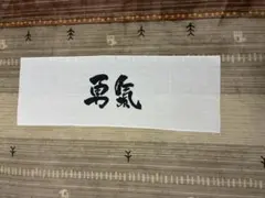 Item thumbnail for item 7b0ea775-bb50-4eec-82db-721da1dee957